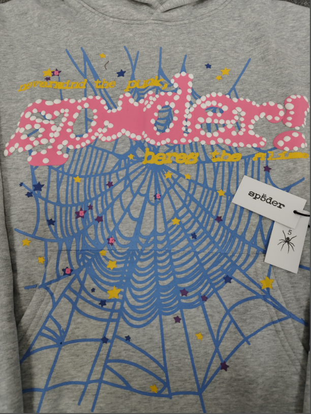 Grey Multicolor Go Web  Sp5der Hoodie