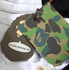 # 507 Bape Brand Shorts